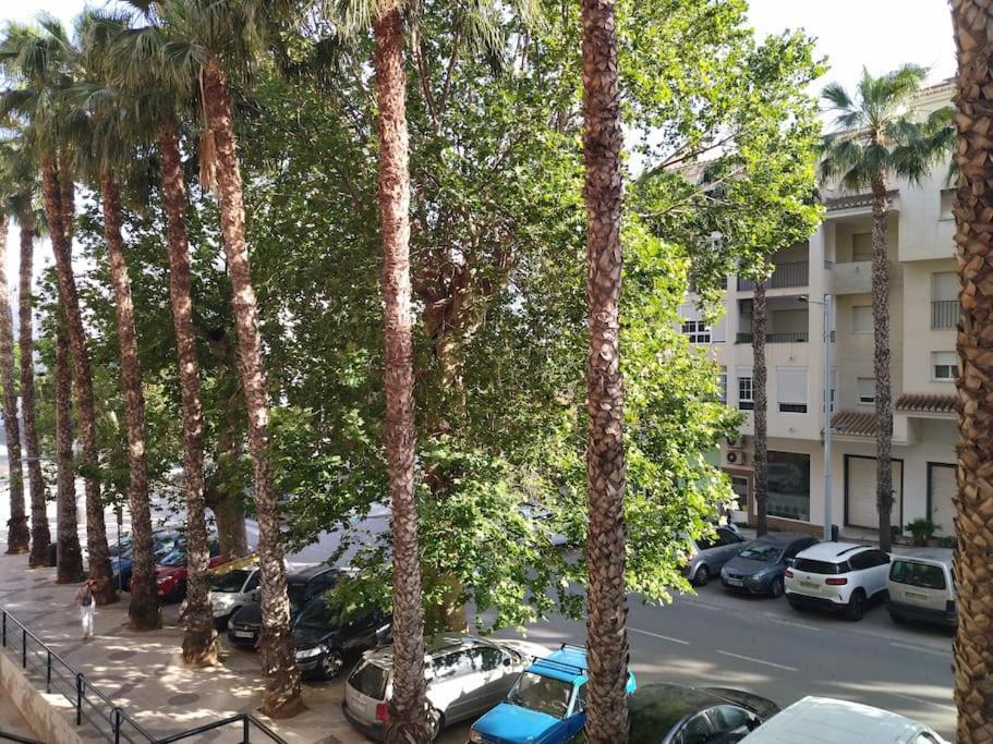 Bonito Piso Recien Reformado Con Zona De Parking Apartment Almuñécar